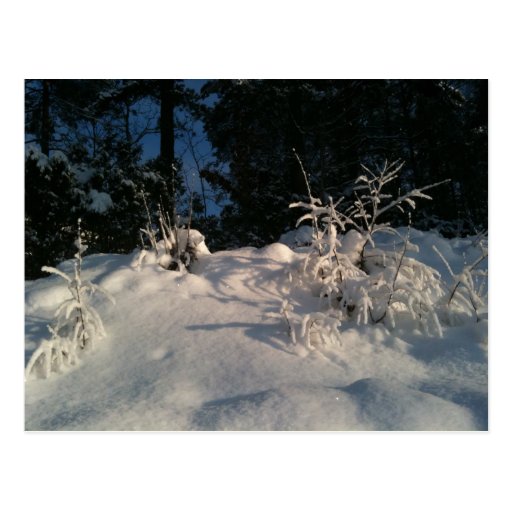 Wintermood in Bergen Post Card