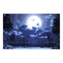 Wintermoon posters