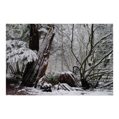 Winter's Art Posters by kapulani