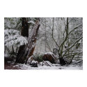 Winter's Art posters