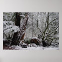 Winter's Art posters