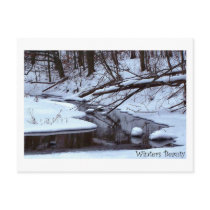 Winters Beauty postcards