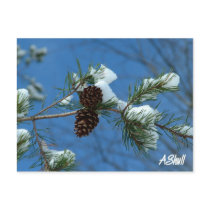 Winters Beauty postcards