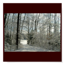 Winters Beauty Poster posters by pammys Winters Beauty Poster posters