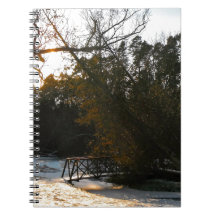Winters Beauty Spiral Notebook