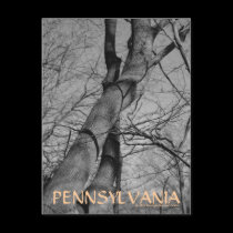 Winters Bite on Trees Bark Pennsylvania Postcard postcards
