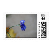 Winter's Chill postage by erin_kathleen Winter's Chill postage