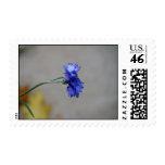 Winter's Chill Postage
