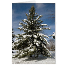 Winters Coming Card