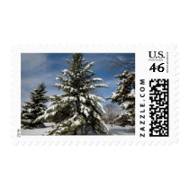 Winters Coming postage