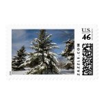 Winters Coming postage