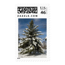 Winters Coming Stamps