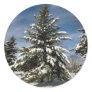 Winters Coming Round Stickers