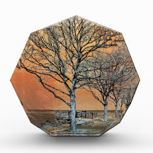 Winter's Dawn Awards