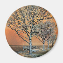 Winter's Dawn Magnets