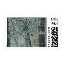 Winters Delight-Hickman County ,TN postage by Mikale2008 Winters Delight-Hickman County ,TN postage