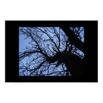 Winters Depths,A Mighty Oak Slumbers posters