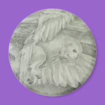 'Winter's Dream' magnets