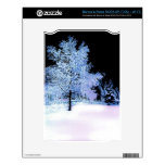 Winter's Eve Decals For The NOOK