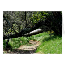 "Winter's Footprints", Blank Card