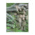 logs, log pile, winter, nature, trees, woods,
