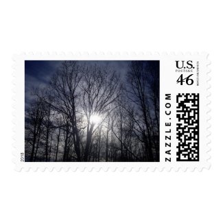 Winters Glow Stamp