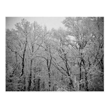 Winter's last breath post card