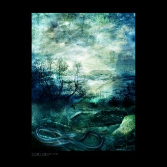 Winter's Morning Light Print