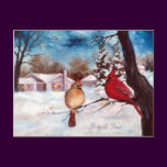 Winters Serenity Postcard