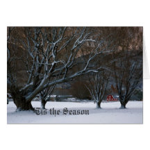 Winter's Silence Cards