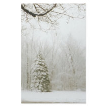 Winter's Trees stationery