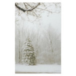Winter's Trees stationery