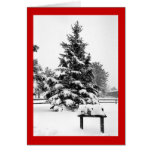 Wintertime cards