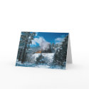 Wintertime Steam cards