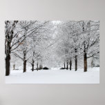 Wintery Road Poster
