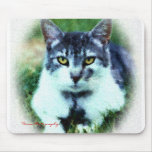 "Winthrop" Cat - Mouse pad