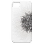 Wintry Branches iPhone 5 Case