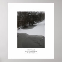 Wintry Lake Posters