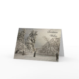 Wintry Snowy Trees - Greeting and Note Card card