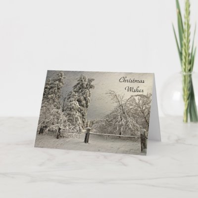 Wintry Snowy Trees - Greeting and Note Card