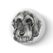 Wire-Haired Dachshund Pinback Button