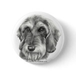 Wire-Haired Dachshund Pinback Button