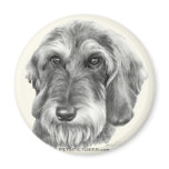 Wire-Haired Dachshund Fridge Magnets