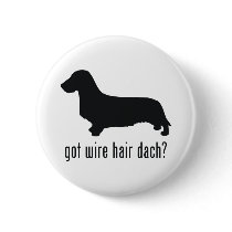Wire Haired Dachsund Pinback Button