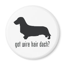 Wire Haired Dachsund Fridge Magnet