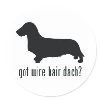 Wire Haired Dachsund Round Sticker