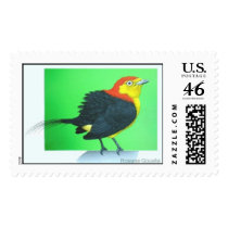 "Wire-tailed Manakin" (male) postage by Rosiane_Gouvea "Wire-tailed Manakin" (male) postage