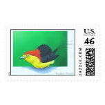 "Wire-tailed Manakin" (male) Postage