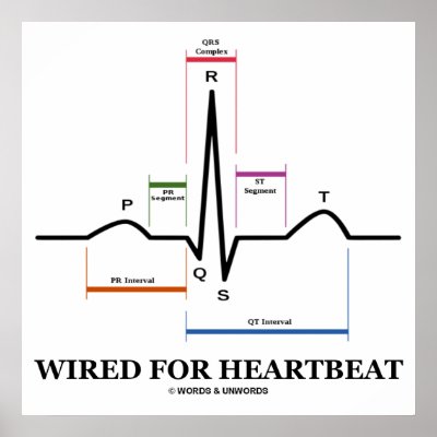 Ekg Print