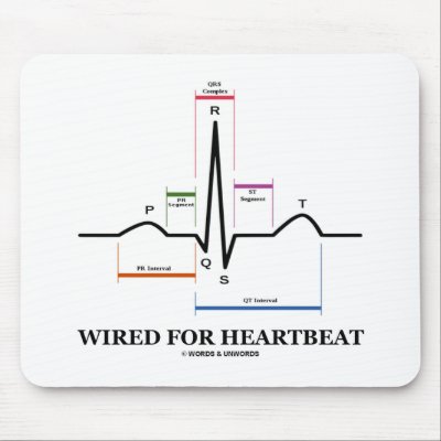 Mouse Ekg